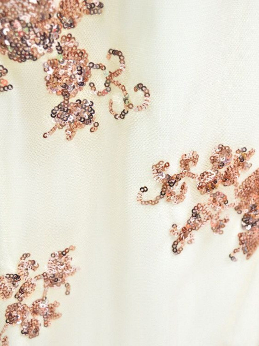 Sequined Mesh Slim-fitting Long Dress With A Train And Sexy Backless Design