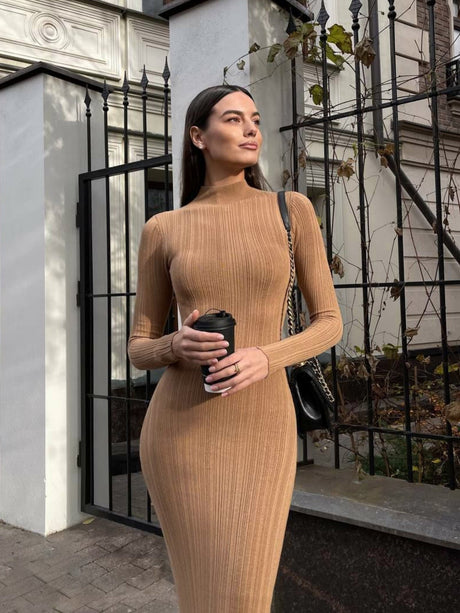 High Neck Long Sleeve Bodycon Dress Autumn Winter Maxi Dress Elegant French Knitted Dress