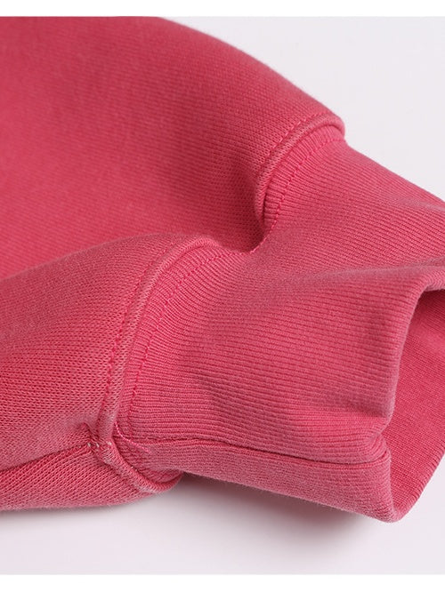 Embroidered Pattern Letter Sweatshirts