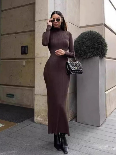 High Neck Long Sleeve Bodycon Dress Autumn Winter Maxi Dress Elegant French Knitted Dress