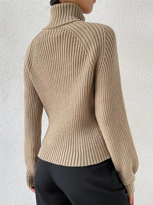 Turtleneck Raglan Sleeves Knitted Pullover Sweater