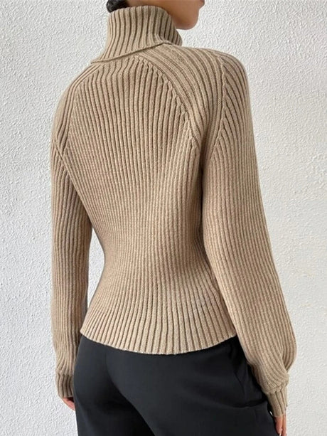 Turtleneck Raglan Sleeves Knitted Pullover Sweater