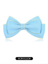 Business Wedding Party Bow Bow Ties