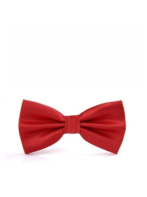 Business Wedding Party Bow Bow Ties