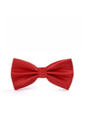 Business Wedding Party Bow Bow Ties