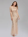 Embroidery Sequins Fishtail Spliced Mesh Formal Dress Maxi Dresses