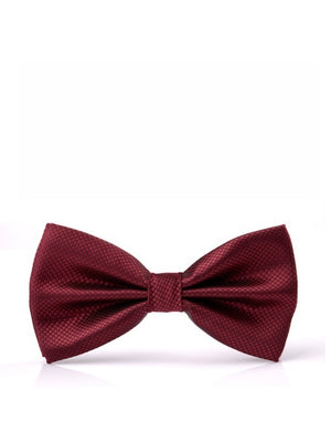 Business Wedding Party Bow Bow Ties