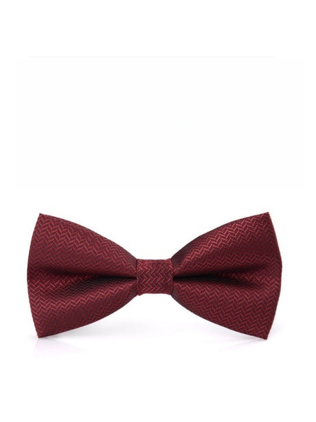 Business Wedding Party Bow Bow Ties