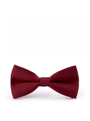 Business Wedding Party Bow Bow Ties