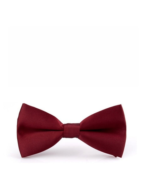 Business Wedding Party Bow Bow Ties