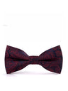 Business Wedding Party Bow Bow Ties
