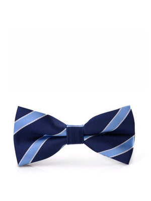 Business Wedding Party Bow Bow Ties