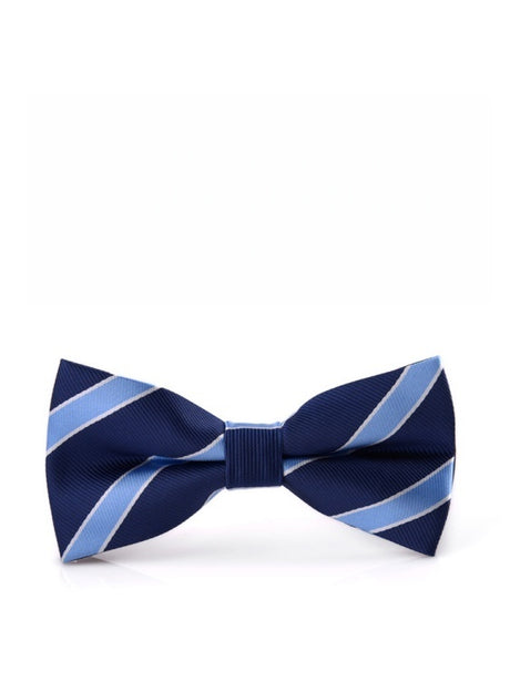 Business Wedding Party Bow Bow Ties