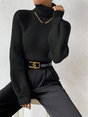 Turtleneck Raglan Sleeves Knitted Pullover Sweater