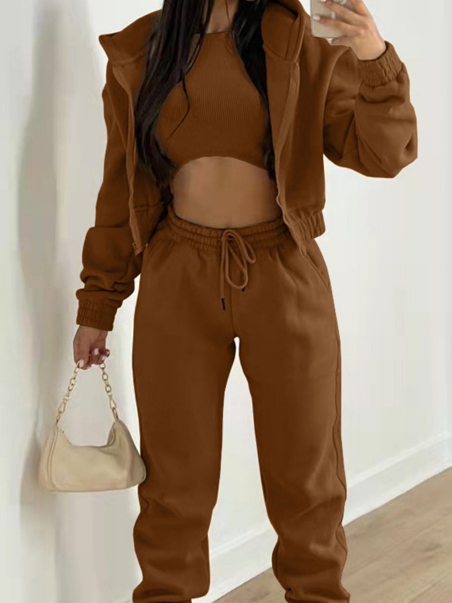 Solid Color Minimalist Hooded Sweatshirt And Casual Sports Pants 3-piece Sets