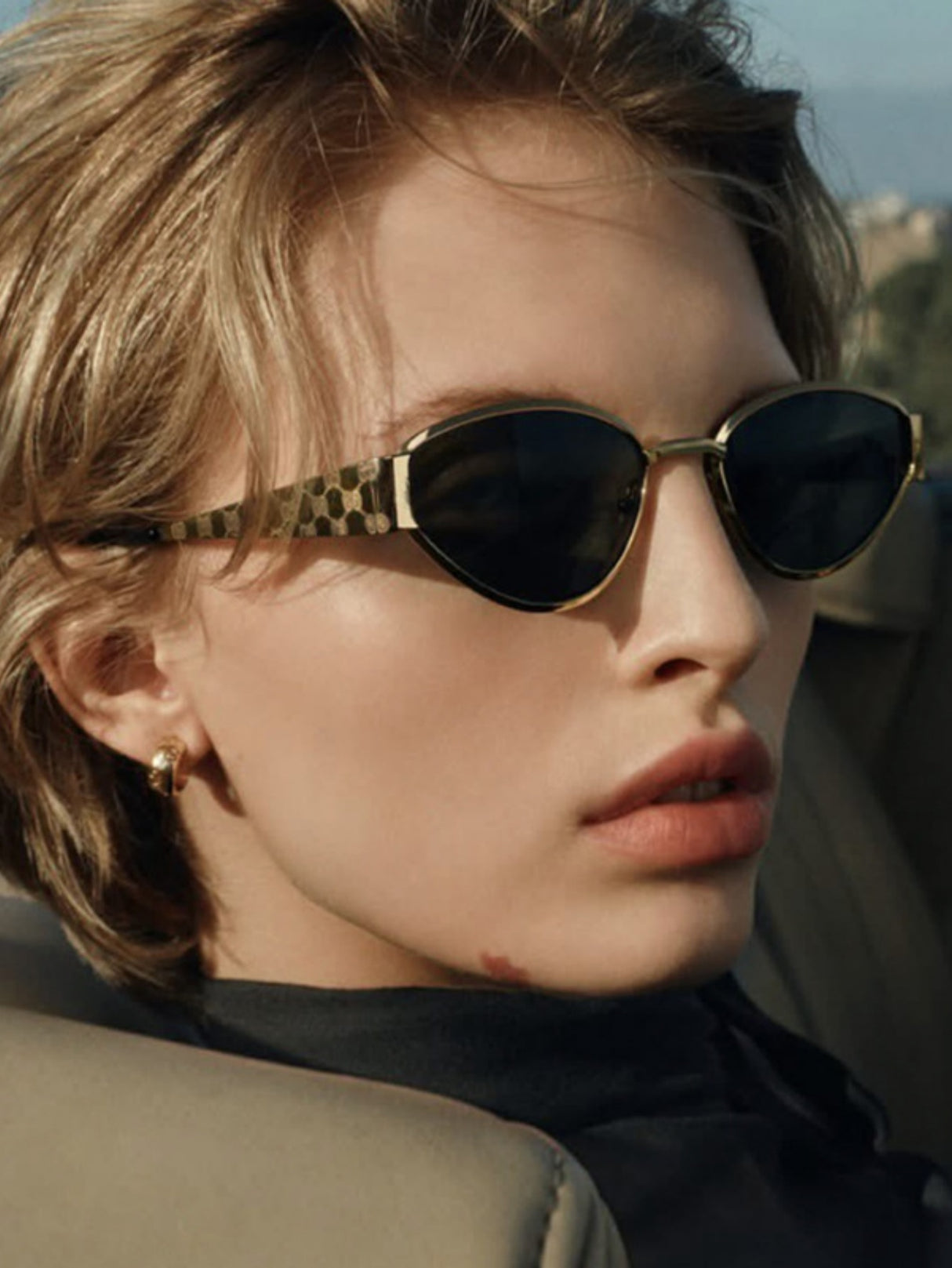 Full-frame Cat-eye Sunglasses