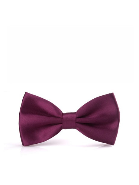 Business Wedding Party Bow Bow Ties