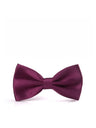 Business Wedding Party Bow Bow Ties