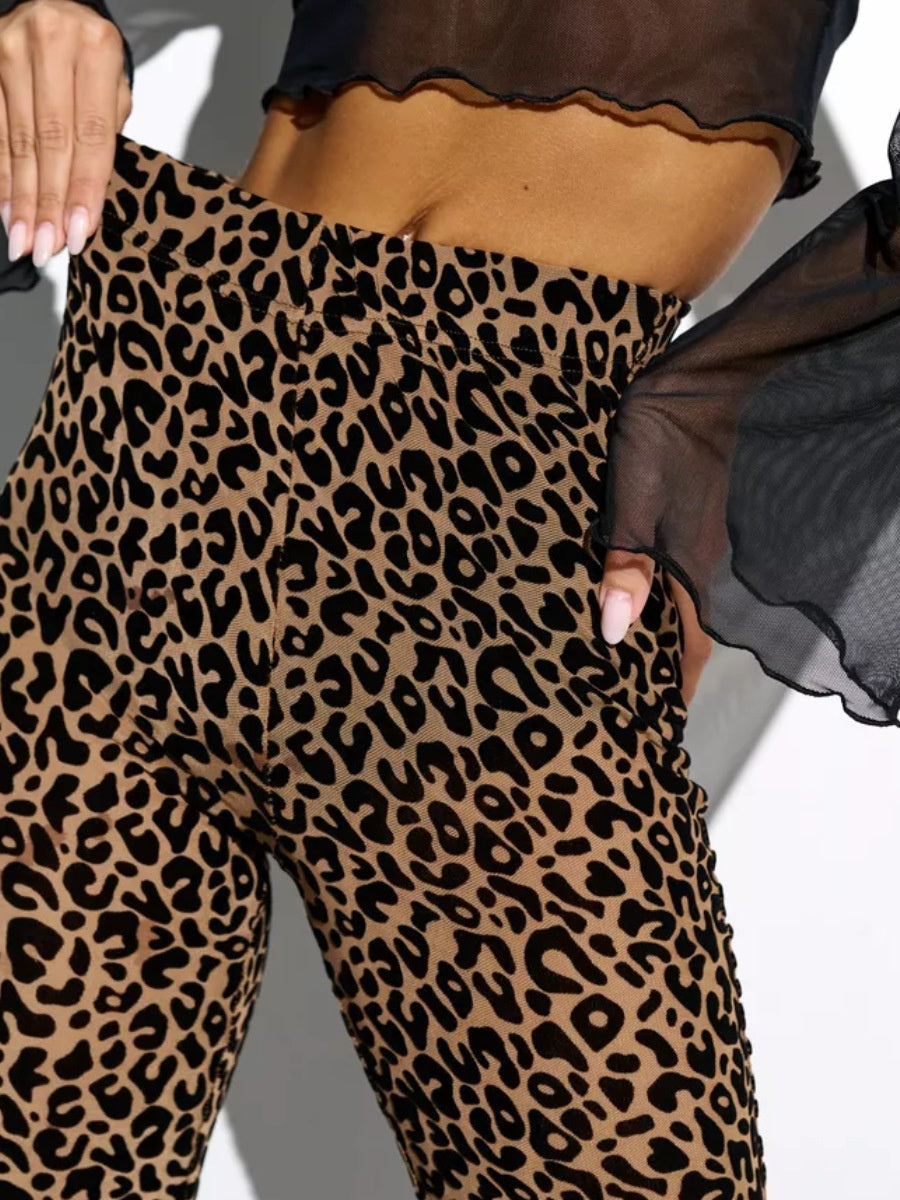 【SHIP AS USUAL】 Mesh Flocking Perspective Leopard Print Pants