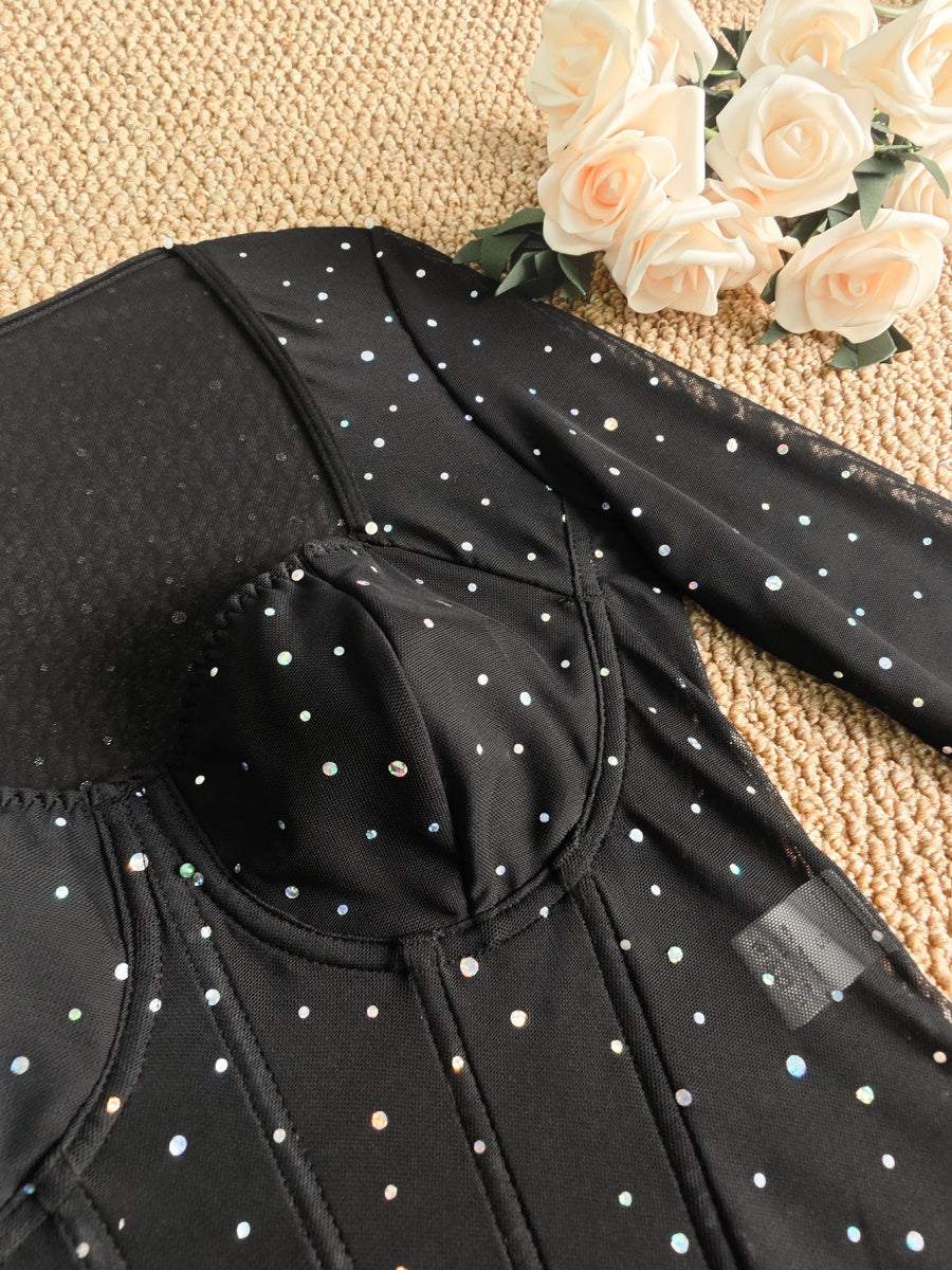 Fine Flash Fish Bones Mesh Perspective Bodysuits