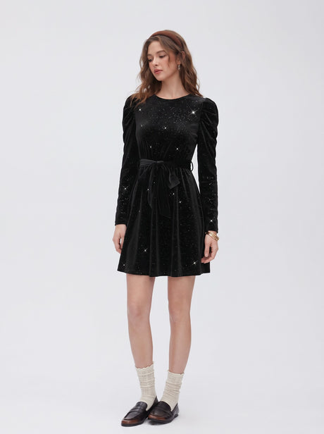Black Glittery Round Neck Long-sleeved Velvet Mini Dress