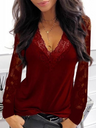 Lace Trim V-neck Sheer Long-sleeved Top