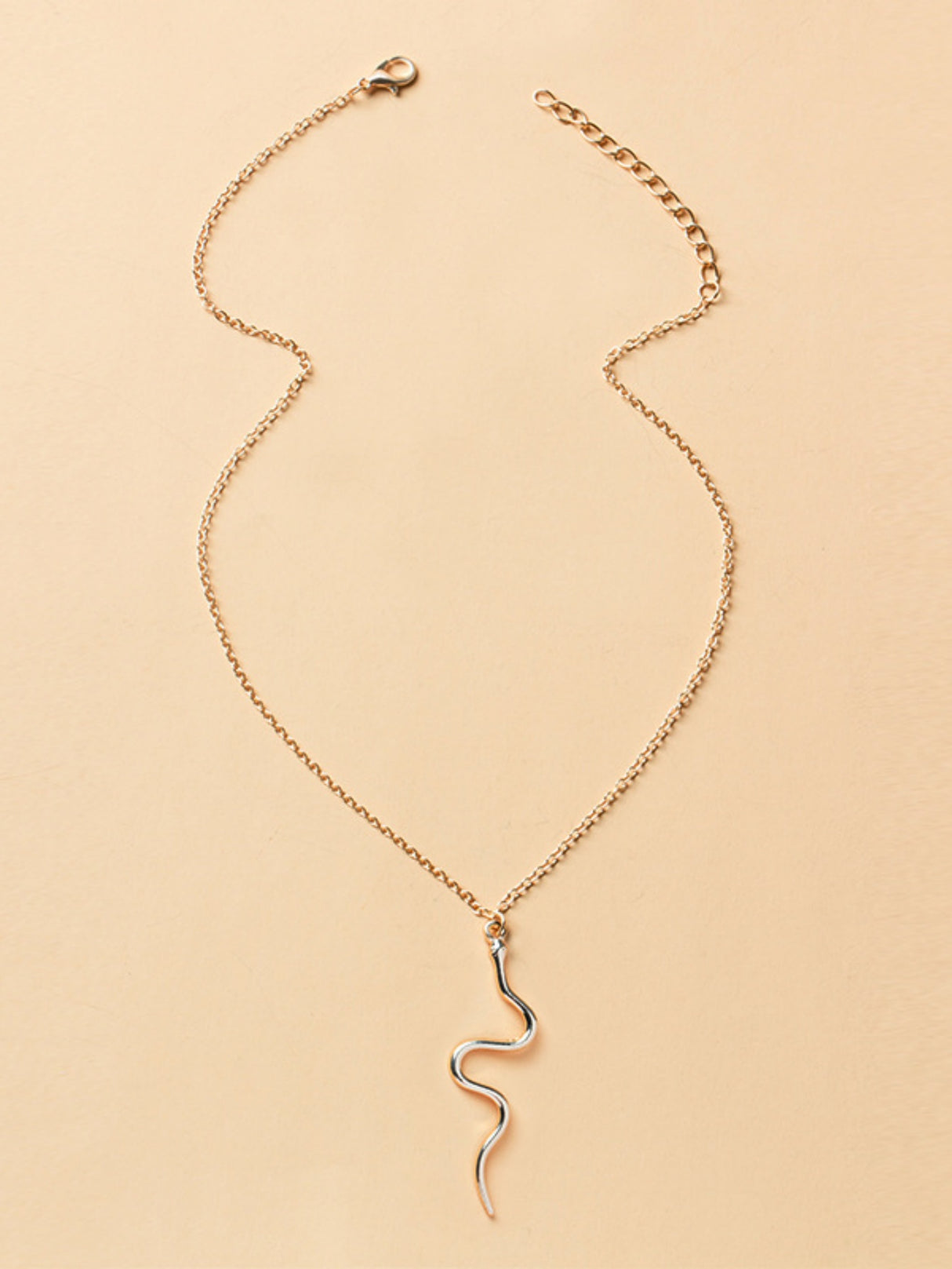 Snake Pendant Necklace