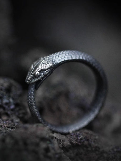Ouroboros Rings