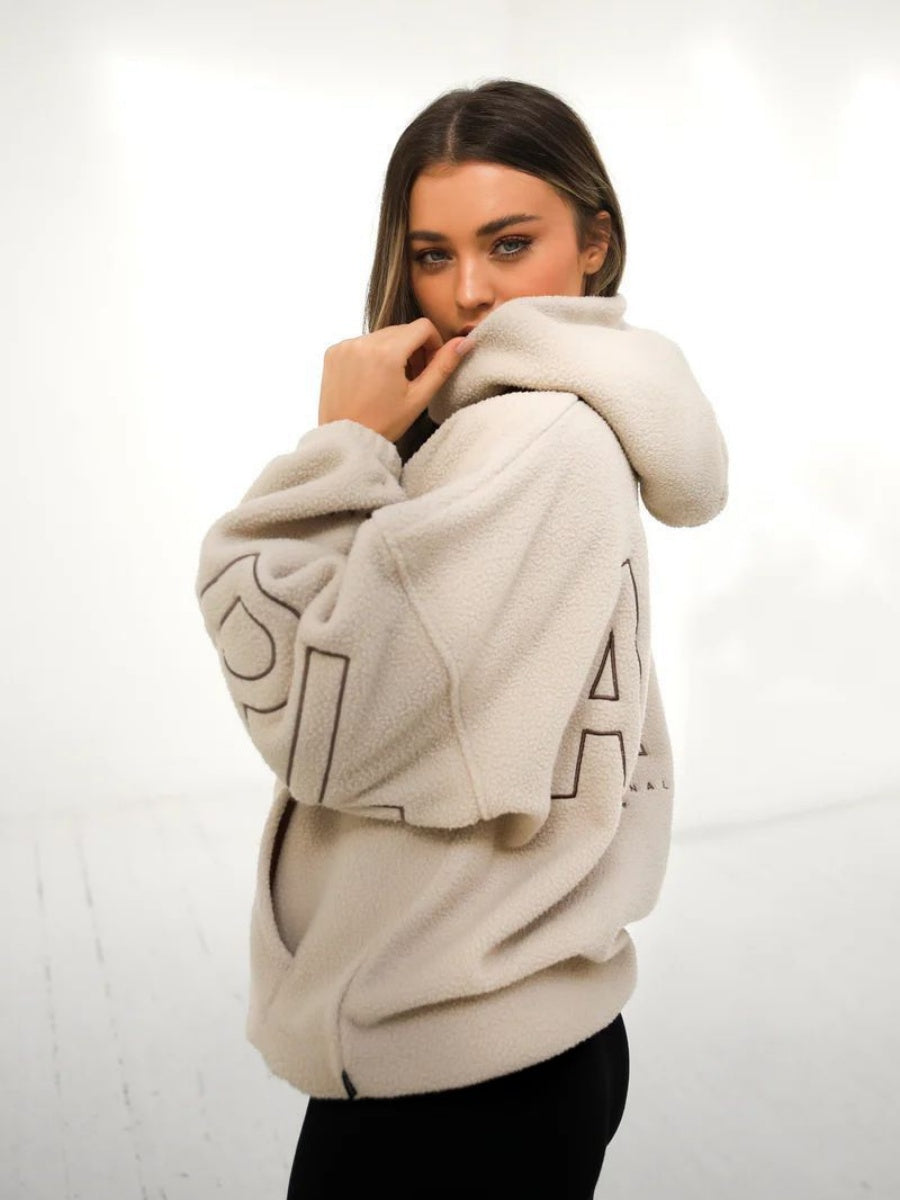 Fleece Letter Embroidery Thick Hooded Sweatshirt