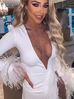 Gauze Puff Sleeve Mesh Patchwork Feather Decoration Slim Fit Mini&Short Dresses