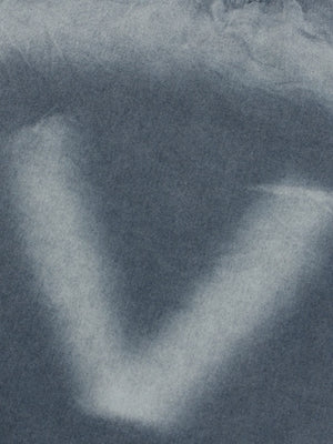 Washed Inkjet Printing Monkey Denim T-shirts