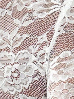 Long-sleeved High-neck Sheer Lace Slim Fit Elegant And Form-fitting Daily Party Outfit: Mesh/sheer Top