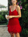 Tassel Sequins Feather Splicing Mini&Short Dresses