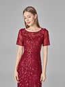 Embroidery Sequins Fishtail Spliced Mesh Formal Dress Maxi Dresses