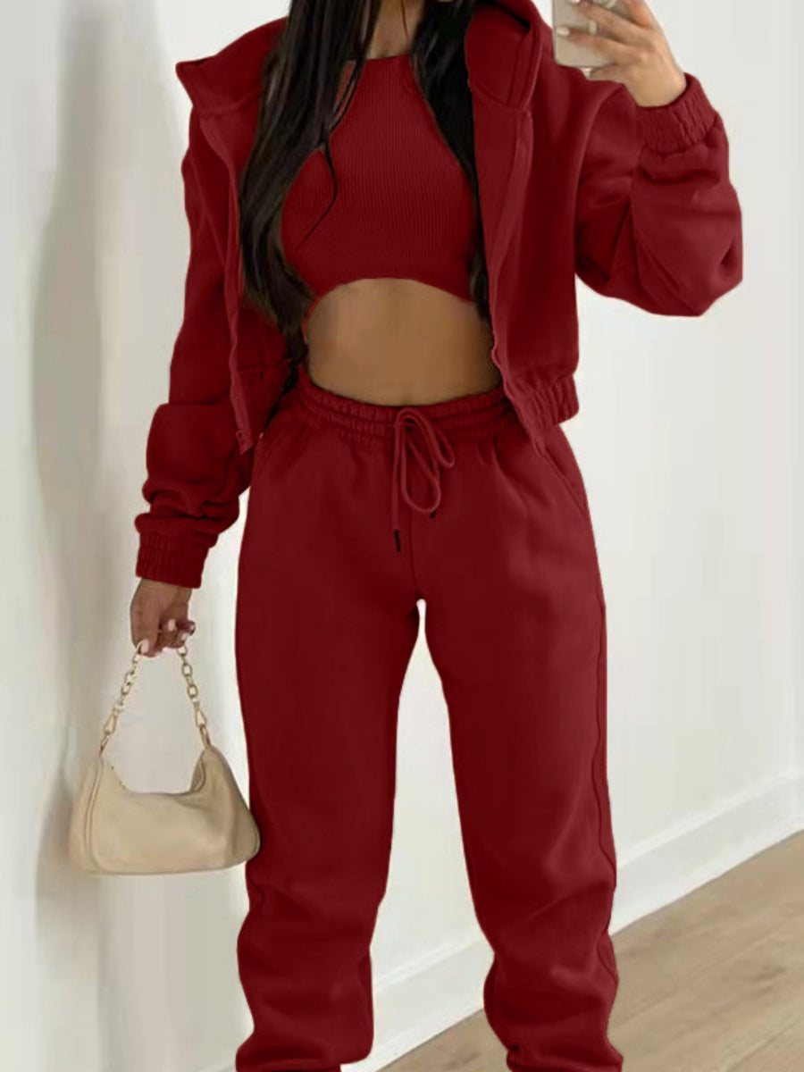 Solid Color Minimalist Hooded Sweatshirt And Casual Sports Pants 3-piece Sets