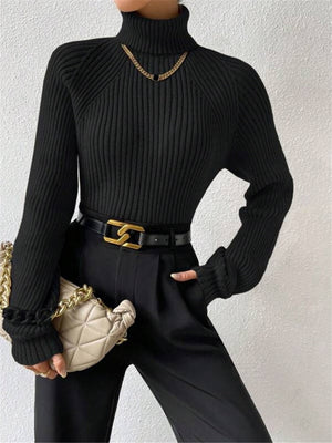 Turtleneck Raglan Sleeves Knitted Pullover Sweater