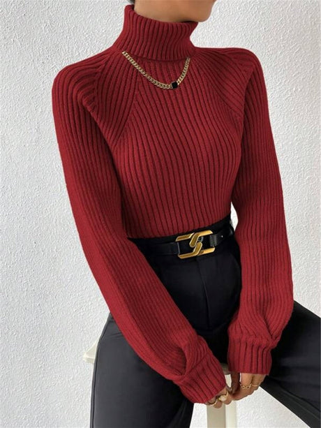 Turtleneck Raglan Sleeves Knitted Pullover Sweater