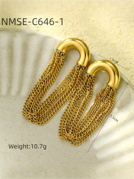 Hoop tassel earrings