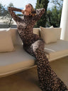 Leopard Print Maxi Dress, Elegant Long Sleeves, Printed Slim Fit, Sexy Round Neck Dress For Women