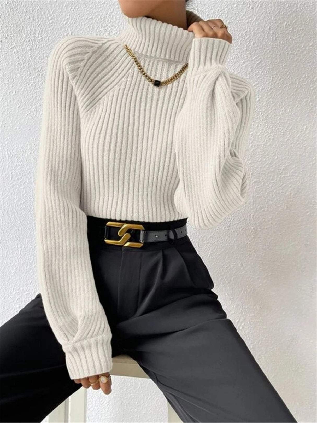 Turtleneck Raglan Sleeves Knitted Pullover Sweater