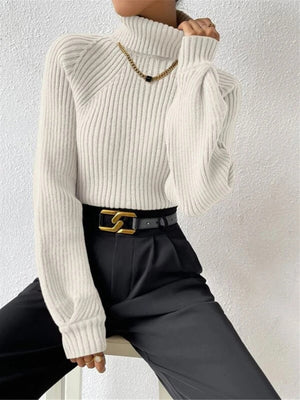 Turtleneck Raglan Sleeves Knitted Pullover Sweater
