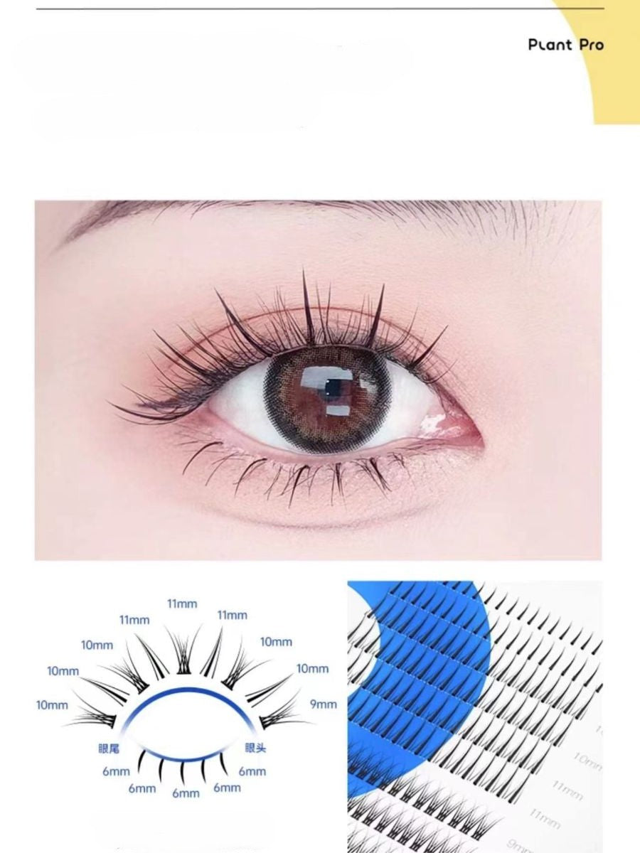 Plant Pro 3-in-1 Hybrid Eyelashes 240pcs/box